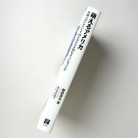 萌えるアメリカ 米国人はいかにしてMANGAを読むようになったか