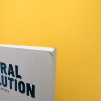 Cultural Revolution: Aesthetic Practice after Autonomy