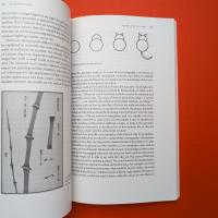 The Objective Eye: Color, Form, and Reality in the Theory of Art