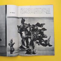 いけばな草月 27号