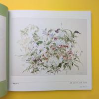 TOMIE SERA 世良臣絵作品集 自然に魅せられて