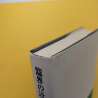臨界の近代日本文学