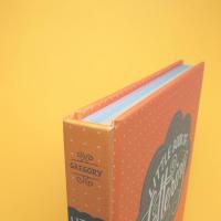 Little Book of Lettering