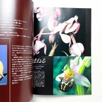 MeSci（ミーサイ） 科学技術と文化をつなぐMuseum Magazine Vol.2 2002