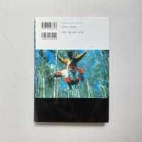キン・フー武侠電影作法