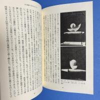 視覚論
