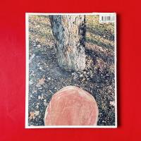 kim hiorthy: tree weekend