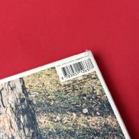 kim hiorthy: tree weekend
