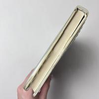 砂の男