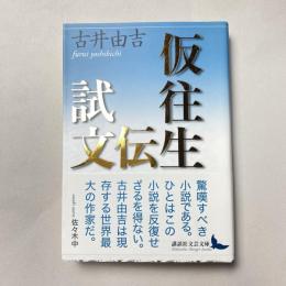 仮往生伝試文