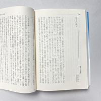 仮往生伝試文