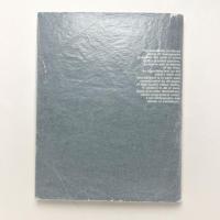 Pollock :twentieth-century masters
