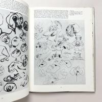Pollock :twentieth-century masters