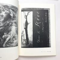 世界版画〈14〉パリ国立図書館版　ルドンと象徴主義
