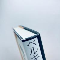 ベルギー分裂危機：その政治的起源