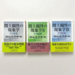 間主観性の現象学　3冊セット