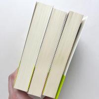 間主観性の現象学　3冊セット