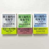 間主観性の現象学　3冊セット