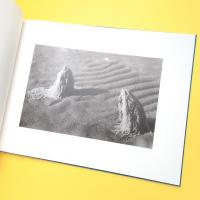 干潟にて At the Tidal Flats