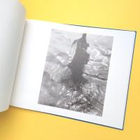 干潟にて At the Tidal Flats