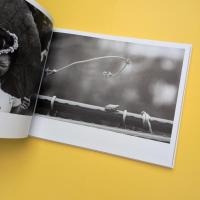 紀成道写真集 Touch the forest, touched by the forest.