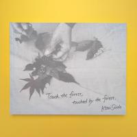 紀成道写真集 Touch the forest, touched by the forest.