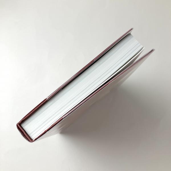 時の宙づり 生・写真・死　ジェフリー・バッチェン 時の宙づり：生・写真・死(Geoffrey Batchen) / 古本、中古本