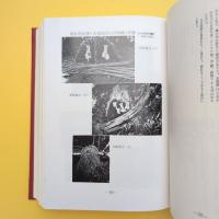 本邦小祠の研究 岩崎敏夫著作集