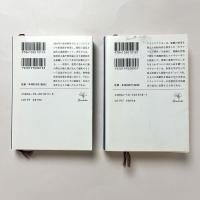 悪霊(上)(下) 2冊セット