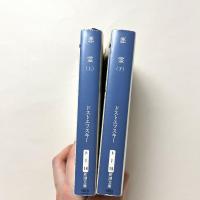 悪霊(上)(下) 2冊セット