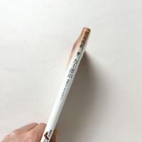 力士漂泊 相撲のアルケオロジー