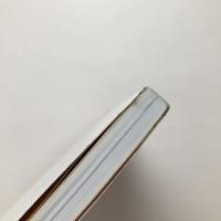 無垢と経験の写真 　日本の新進作家 vol.14