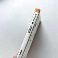 視覚論