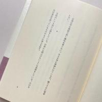 揶揄う女神