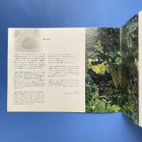 Moving Plants 渡邊耕一展 カタログ