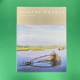 DOMANI・明日2020「傷ついた風景の向こうに」日本博スペシャル展 文化庁新進芸術家海外研修制度の成果 カタログ