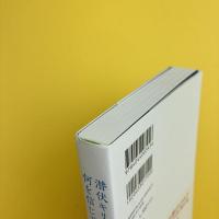 潜伏キリシタンは何を信じていたのか