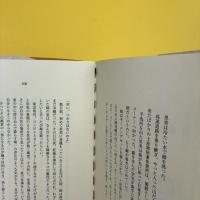 シャーマンが歌う夜