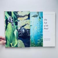 The Life of the Pond: Our Living World of Nature