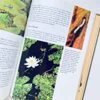 The Life of the Pond: Our Living World of Nature
