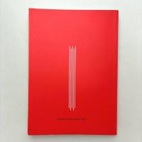 視ることのアレゴリー 1995：絵画・彫刻の現在