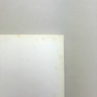 視ることのアレゴリー 1995：絵画・彫刻の現在