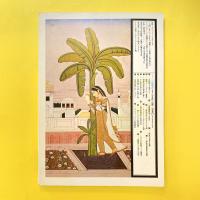 イメージの博物誌 15 生命の樹 中心のシンボリズム