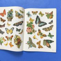 Old-Time Butterfly Vignettes in Full Color