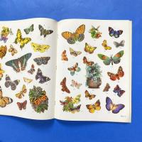 Old-Time Butterfly Vignettes in Full Color