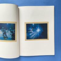 椿会展2001 図録