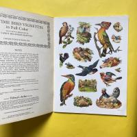 Old-Time Bird Vignettes in Full Color