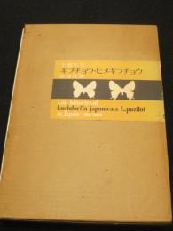 ギフチョウ・ヒメギフチョウ : 生態写真