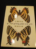 ギフチョウ・ヒメギフチョウ : 生態写真