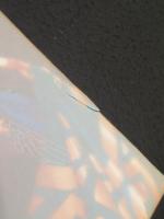 【サイン入り】　エスカフローネ ファンブック　：　ESCAFLOWNE FANBOOK　